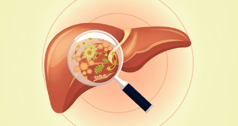 Janela imunológica das hepatites virais