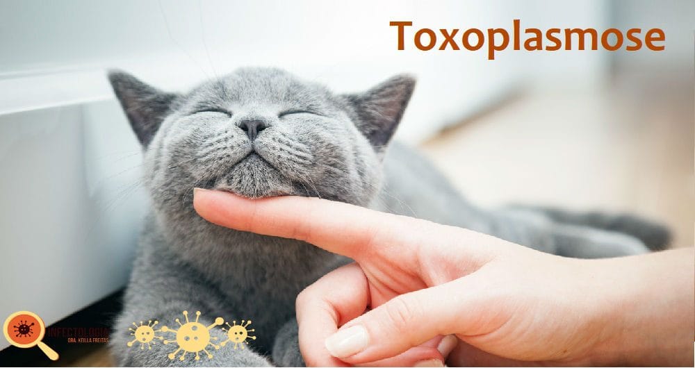 toxoplasmose