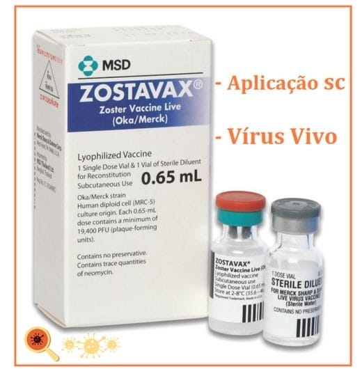 Herpes Zoster Vacina