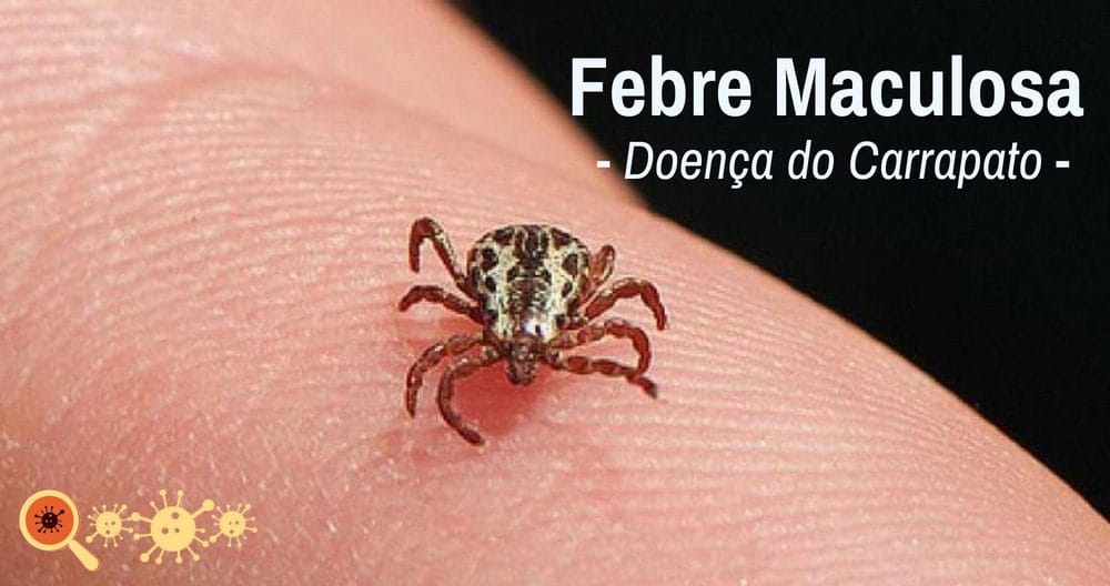 Doença do carrapato: a picada que mata rápido