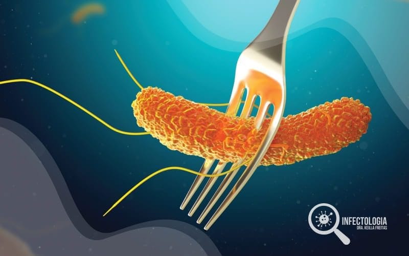 Salmonella
