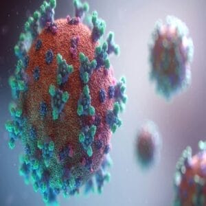 Preocupação Transmissão do Vírus H5N1 - Brasil Notícias